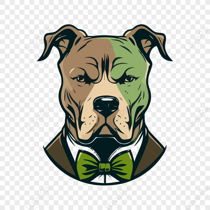 Chó Pitbull - Nguồn gốc, đặc điểm, giá bán và cách thuần hóa