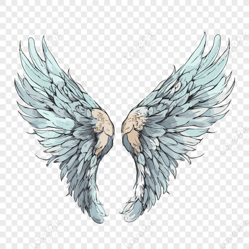 Angel Wing Vector,angel Wings,wings,sticker PNG White Transparent