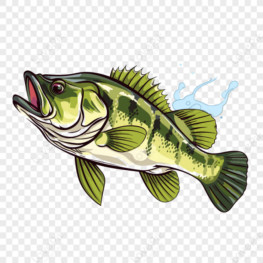 https://img.lovepik.com/png/20231116/largemouth-bass-clipart-an-icon-of-an-open-mouth-bass_608551_wh860.png